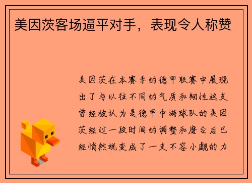 美因茨客场逼平对手，表现令人称赞
