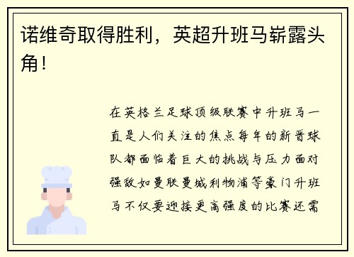诺维奇取得胜利，英超升班马崭露头角！