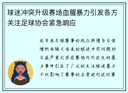球迷冲突升级赛场血腥暴力引发各方关注足球协会紧急响应